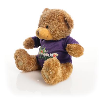 Printed Brown 22cm Edward bear - Purple t-shirt