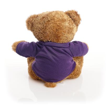 Printed Brown 22cm Edward bear - Purple t-shirt