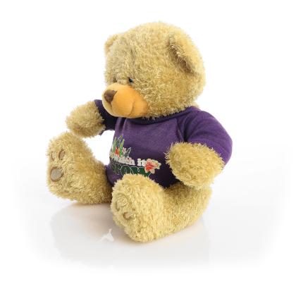 Printed Golden 22cm Edward bear - Purple t-shirt
