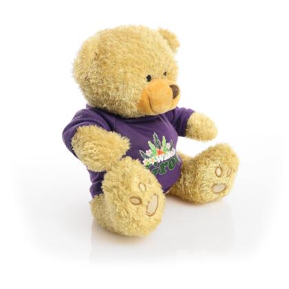 Printed Golden 22cm Edward bear - Purple t-shirt