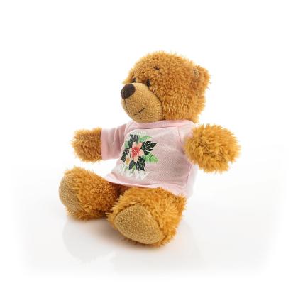 Printed 17cm Anne bear - Baby Pink t-shirt