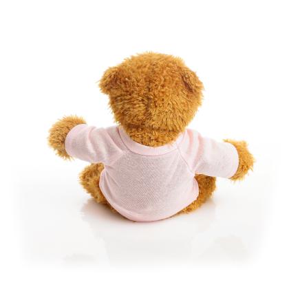 Printed 17cm Anne bear - Baby Pink t-shirt