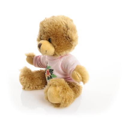Printed 20cm Charles Jointed bear - Baby Pink t-shirt Printed 20cm Charles Jointed bear - Baby Pink t-shirt