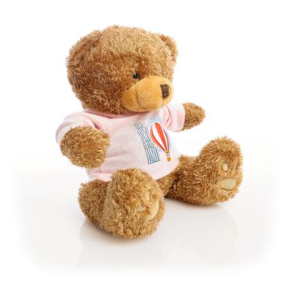 Printed Brown 22cm Edward bear - Baby Pink t-shirt