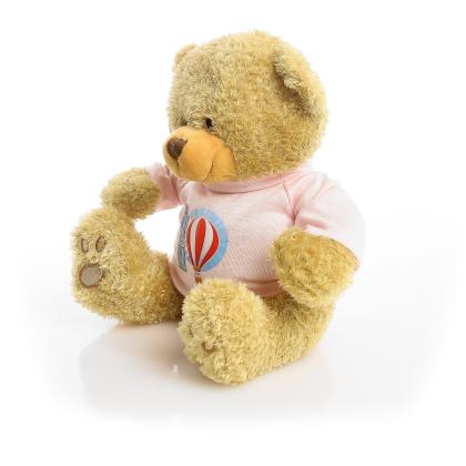 Printed Golden 22cm Edward bear - Baby Pink t-shirt