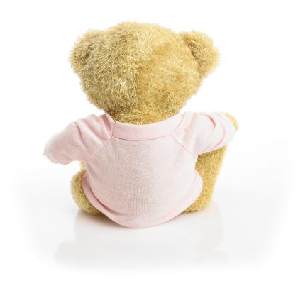 Printed Golden 22cm Edward bear - Baby Pink t-shirt