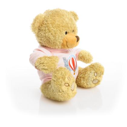 Printed Golden 22cm Edward bear - Baby Pink t-shirt