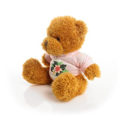 Printed Golden 18cm James bear - Baby Pink t-shirt