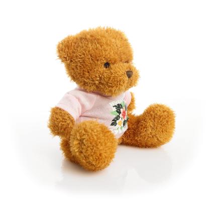 Printed Golden 18cm James bear - Baby Pink t-shirt