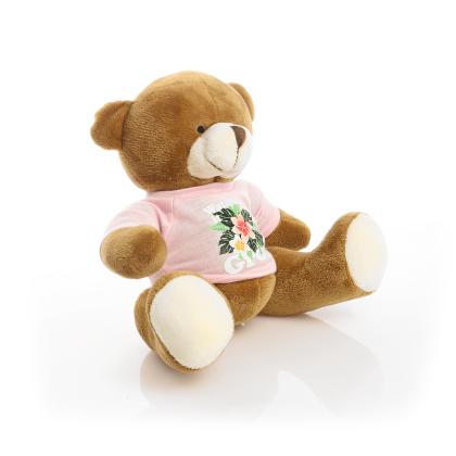 Printed 20cm Richard Bear - Baby Pink t-shirt
