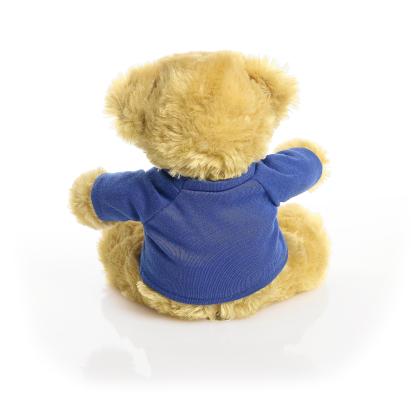 Printed 20cm Elizabeth bear - Royal Blue t-shirt
