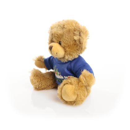 Printed 20cm Charles Jointed bear - Royal Blue t-shirt