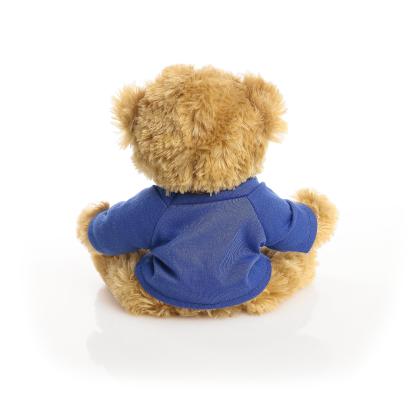 Printed 20cm Charles Jointed bear - Royal Blue t-shirt