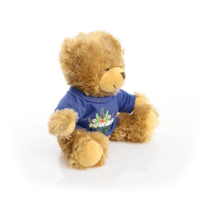 Printed 20cm Charles Jointed bear - Royal Blue t-shirt