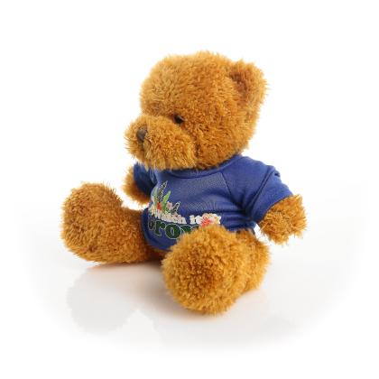 Printed Golden 18cm James bear - Royal Blue t-shirt