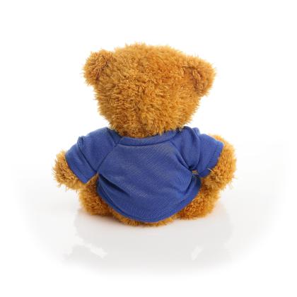 Printed Golden 18cm James bear - Royal Blue t-shirt