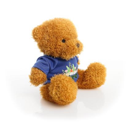 Printed Golden 18cm James bear - Royal Blue t-shirt