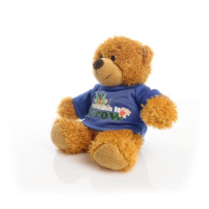 Printed 17cm Anne bear - Royal Blue t-shirt Printed 17cm Anne bear - Royal Blue t-shirt