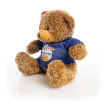 Printed Brown 22cm Edward bear Royal Blue t-shirt
