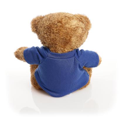 Printed Brown 22cm Edward bear Royal Blue t-shirt
