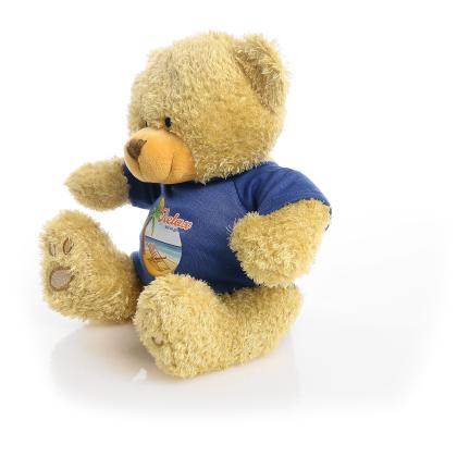 Printed Golden 22cm Edward bear - Royal Blue t-shirt