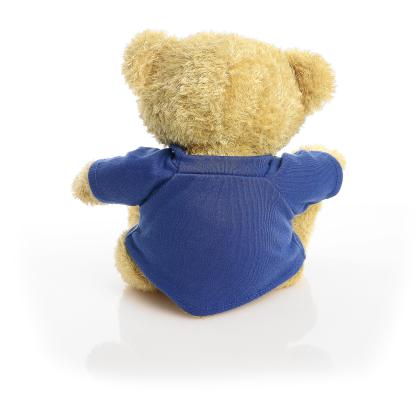 Printed Golden 22cm Edward bear - Royal Blue t-shirt