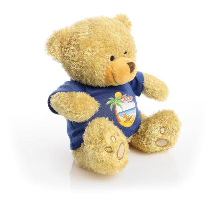 Printed Golden 22cm Edward bear - Royal Blue t-shirt