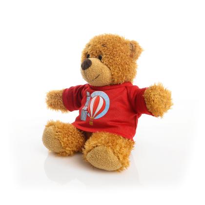 Printed 17cm Anne bear - Red t-shirt