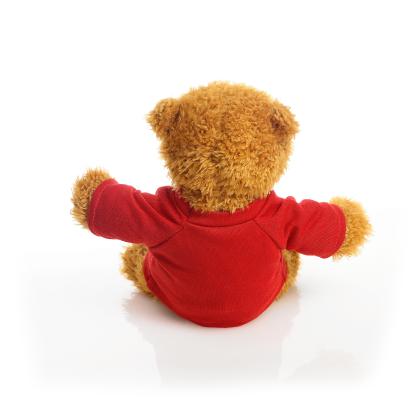 Printed 17cm Anne bear - Red t-shirt