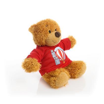 Printed 17cm Anne bear - Red t-shirt