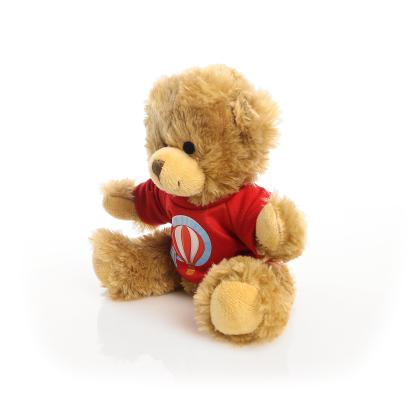 Printed 20cm Charles Jointed bear - Red t-shirt