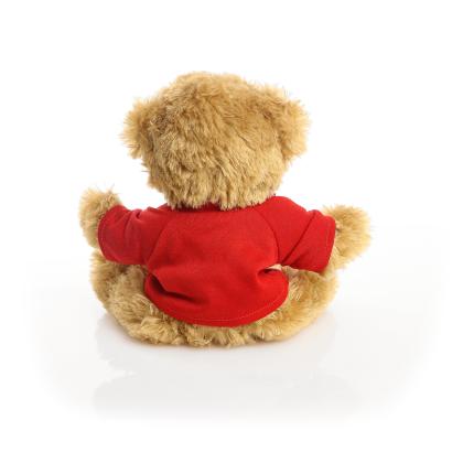 Printed 20cm Charles Jointed bear - Red t-shirt