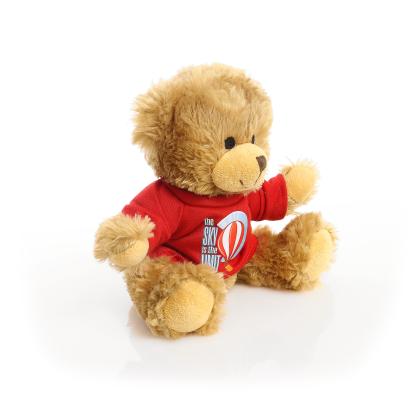 Printed 20cm Charles Jointed bear - Red t-shirt