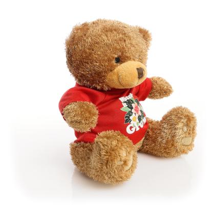 Printed Brown 22cm Edward bear - Red t-shirt Printed Brown 22cm Edward bear - Red t-shirt