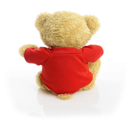 Printed Golden 22cm Edward bear - Red t-shirt