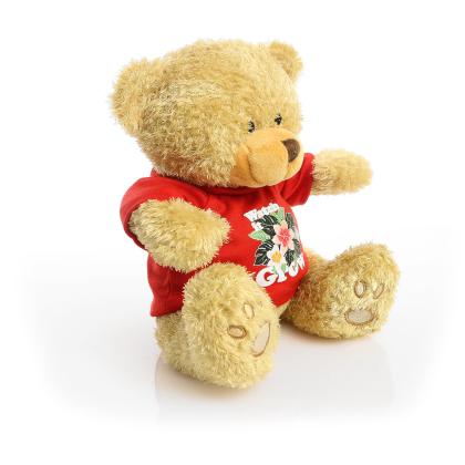 Printed Golden 22cm Edward bear - Red t-shirt