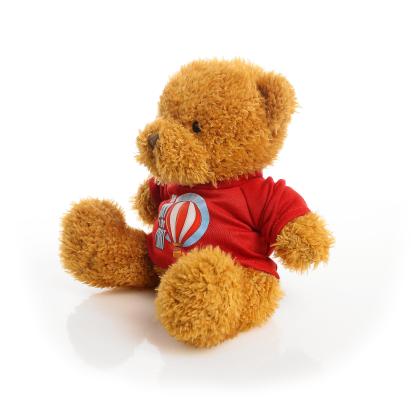 Printed Golden 18cm James bear - Red t-shirt