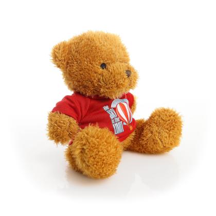 Printed Golden 18cm James bear - Red t-shirt