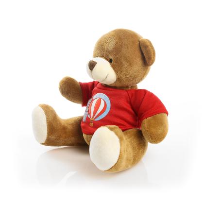 Printed 20cm Richard Bear - Red t-shirt