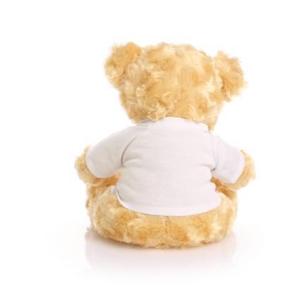 Printed 19cm Victoria Bear Printed 19cm Victoria Bear