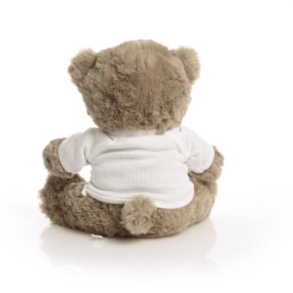 Printed ECO 20cm Mocha Catherine Bear