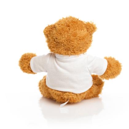 Printed 17cm Anne Bear