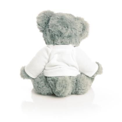 Printed 20cm Archie Jointed Bear