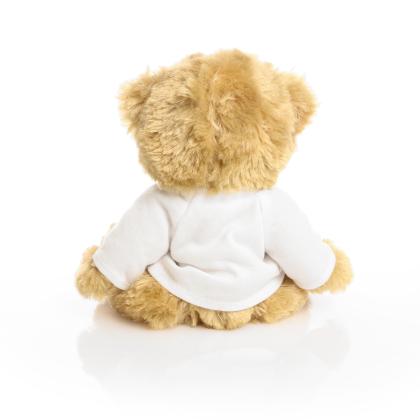 Printed 20cm Charles Jointed Bear