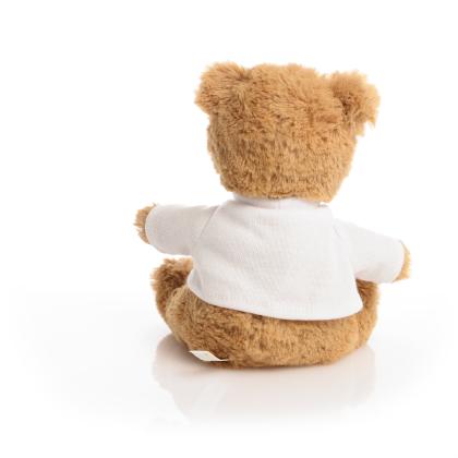 Printed ECO 17cm Charlotte Bear