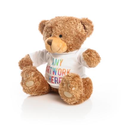 Printed Brown 22cm Edward Bear