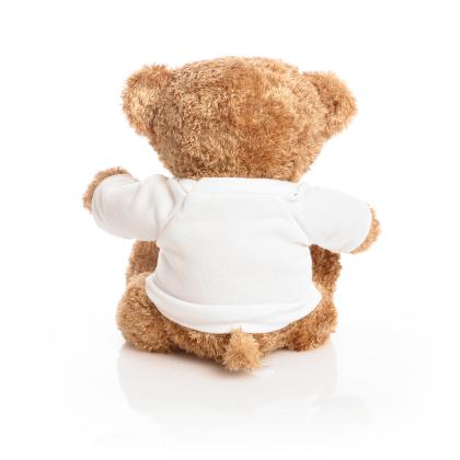 Printed Brown 22cm Edward Bear