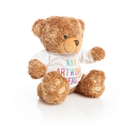 Printed Brown 22cm Edward Bear