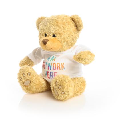 Printed Golden 22cm Edward Bear