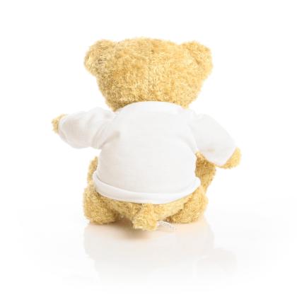Printed Golden 22cm Edward Bear
